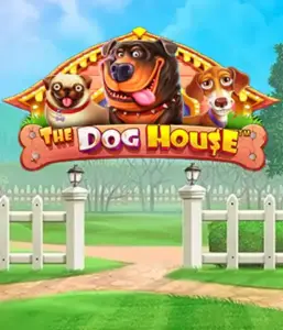 Experience Pragmatic Play's The Dog House adventure, featuring an adorable adventure into the world of charming canines. Engage in features such as multipliers, designed for providing exciting wins. Ideal for animal enthusiasts a cheerful atmosphere and the opportunity to win big.